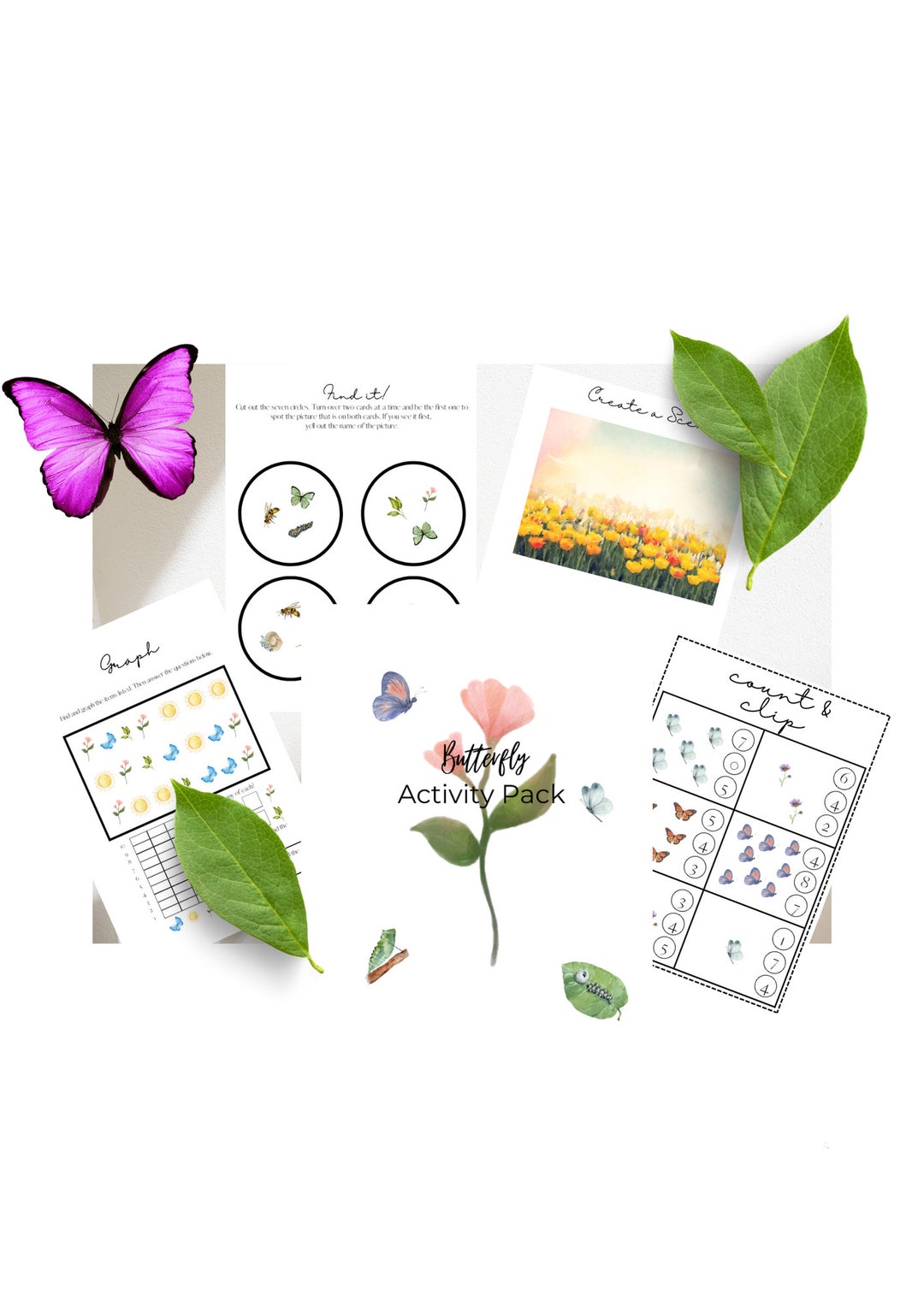 Educational Butterfly Activity Pack - Etsy