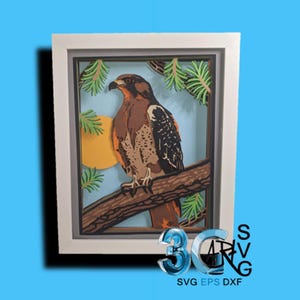 Redtail Hawk with Sun 3D Shadow Box