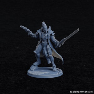 Rho&#39;Beert Space elf Pirate Captain