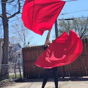 Drapeaux de culte de la prêtrise – Ensemble de 2 | Drapeaux de danse de la louange royale