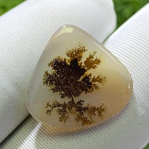 Designer Achat!! Dendritenachat, Edelstein Cabochon Dendritic Agate Pear Semi Precious für die Schmuckherstellung Handgemacht: 19 x 20 mm