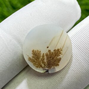 Designer Achat!! Dendritenachat, lose Edelstein Cabochon Dendritenachat Runde Halbedelsteine für die Schmuckherstellung Handgemacht: 12 x 12 mm