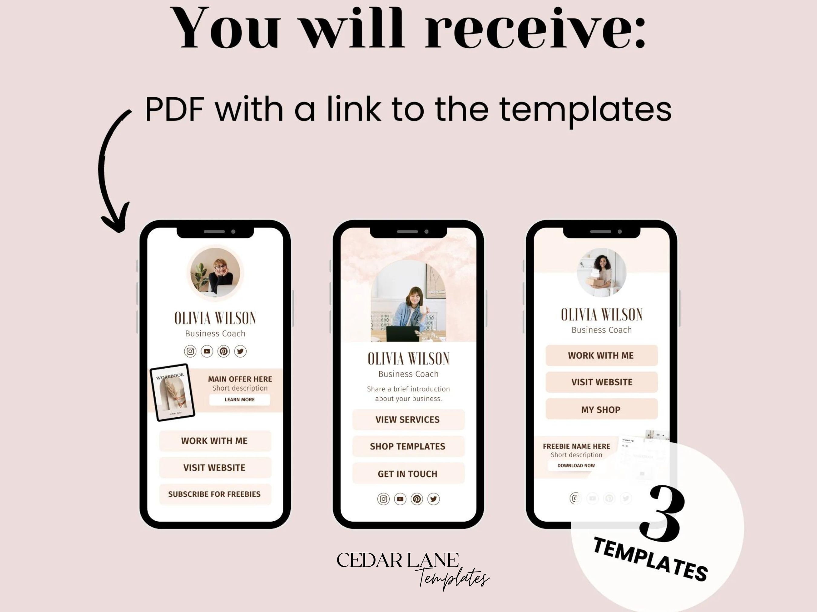 Link in Bio Template, Business Landing Page, Instagram Influencer ...