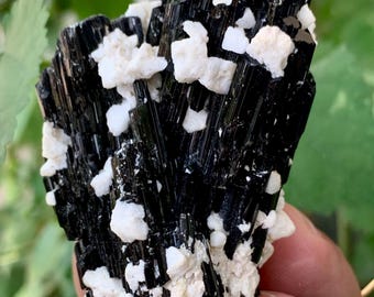 Black Tourmaline Crystal with Albite, Pakistan Skardu Specimen (97Grams)