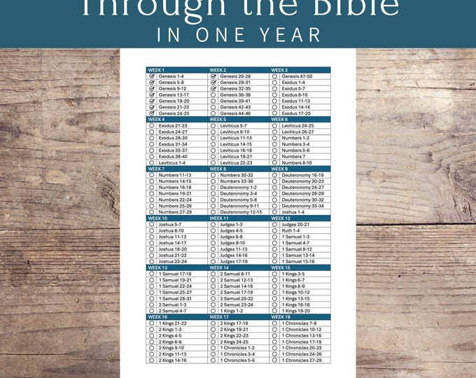 Bible Reading Plan Tracker | One Year | 2026 - Etsy