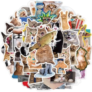 60 Funny Cats Stickers Pack, High Quality CAT Meme Stickers, Perfect MEME Cats Set for Laptop Phone Guitar Luggage | Gift for kids