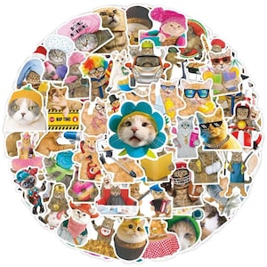 Funny Cats Sticker Pack with 50 high-quality CAT Meme stickers | Perfect Meme Cat Laptop luggage Gift Stickers | Gift!