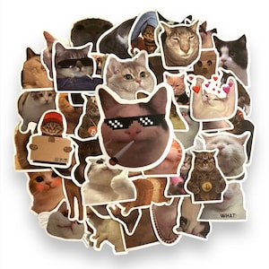 Funny Cats Sticker Pack with 50 high-quality CAT Meme stickers | Perfect Meme Cat Laptop luggage Gift Stickers | Gift!