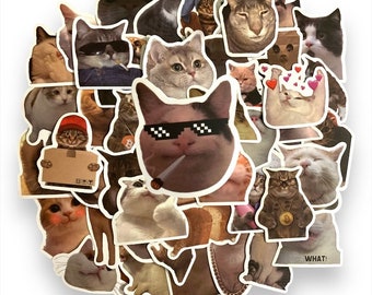 Funny Cats Sticker Pack with 50 high-quality CAT Meme stickers | Perfect Meme Cat Laptop luggage Gift Stickers | Gift!