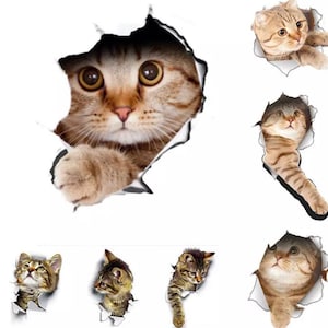 Lustige 3D Katzen Sticker WC Aufkleber hochwertige CAT MEME Poster Sticker , Geschenke für Kinder Deko selbstklebend