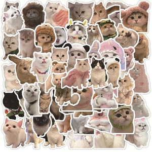50 Funny Cats Sticker Pack with 50 high quality cute CAT meme stickers | Perfect Kitten Laptop Luggage Gift Sticker |Gift for kids Christmas