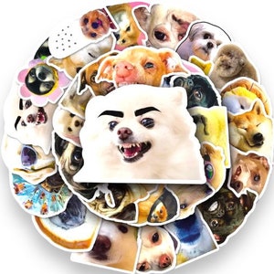 面白い犬のステッカー50枚パック、荷物、ノートパソコン、スケートボード用のMEMEステッカー、ギフト