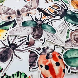 25pcs Vinyl Transparent Insect Sticker Pack, high quality DIY Cut Decal Sticker Set, Perfect for Scrapbooking Laptop Journal Planner