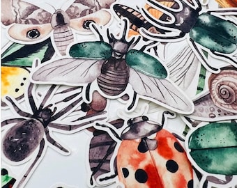 25pcs Vinyl Transparent Insect Sticker Pack, high quality DIY Cut Decal Sticker Set, Perfect for Scrapbooking Laptop Journal Planner