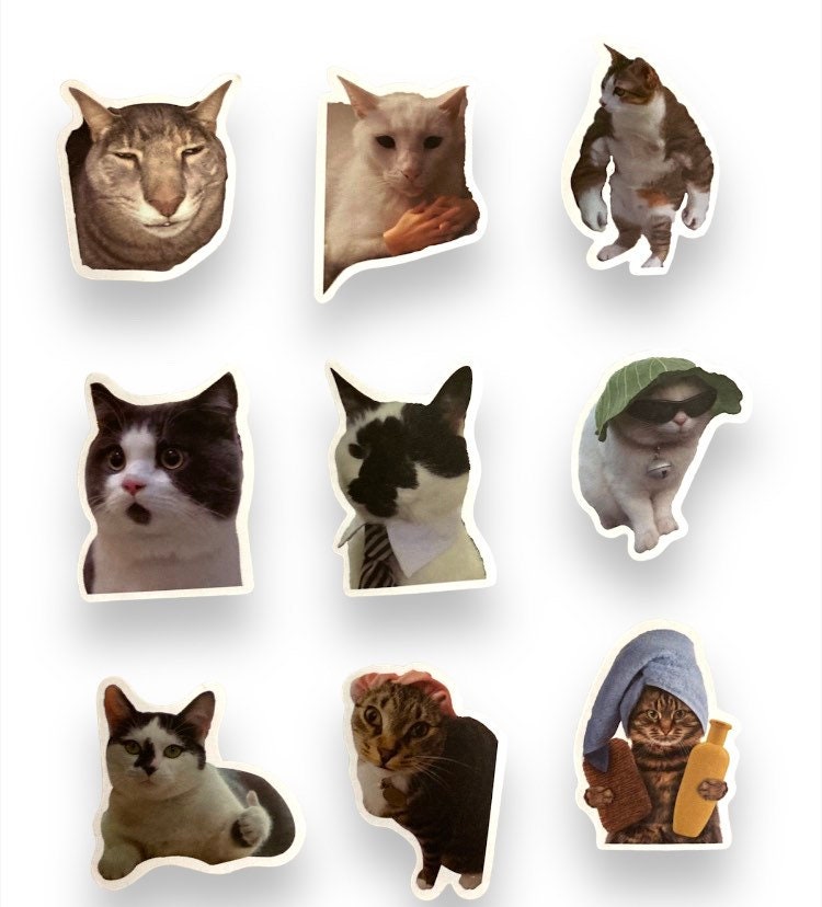 trendy meme cat funny sticker Sticker for Sale by Harrizart