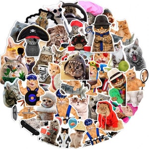 Funny cats sticker pack with 100 or 50 high quality CAT meme stickers | Perfect Meme Cat Laptop Luggage Gift Sticker |Gift!