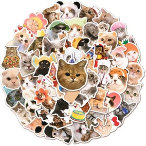 50 Funny Cats Sticker Pack with 100 or 50 high quality CAT Meme Stickers | Perfect Meme Cat Laptop Luggage Decal |Gift!