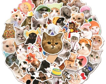 50 Funny Cats Sticker Pack with 100 or 50 high quality CAT Meme Stickers | Perfect Meme Cat Laptop Luggage Decal |Gift!