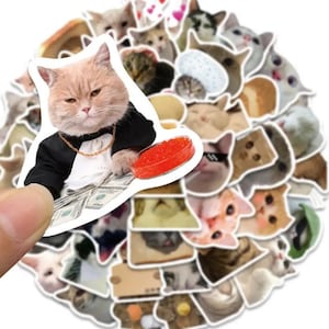 Funny Cats Sticker Pack with 50 high-quality CAT Meme stickers | Perfect Meme Cat Laptop luggage Gift Stickers | Gift!