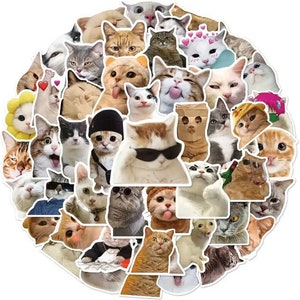 Lustige Katzen Sticker Pack mit 50 hochwertigen CAT Meme Stickern | Perfekte Meme Katze Laptop Gepäck Geschenk Aufkleber |Geschenk!
