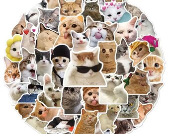 Katzen-Emoji Sticker Set | 50 Stück Lustige Meme-Aufkleber Für Laptop, Handy, Tagebuch | Wiederverwendbar & Süße Deko
