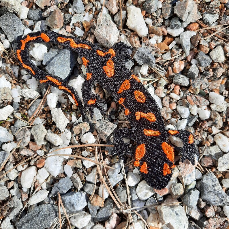 Pu&ograve; includere: Un salamandra ricamata nera e arancione su uno sfondo di ghiaia.