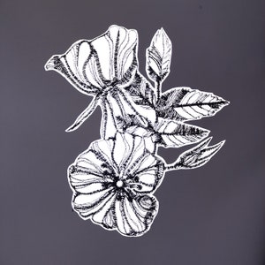 May include: Black and white line drawing of a flower with five petals. The flower is drawn in a detailed style with intricate lines and shading.