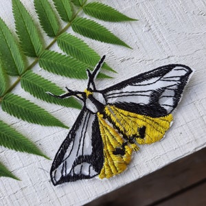 Butterfly embroidered patch