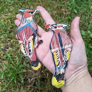 Puede incluir: Dos parches bordados de pájaros. Los parches presentan un diseño detallado con una paleta de colores rojo, azul, amarillo y negro. Los parches de pájaros se sostienen en una mano sobre un fondo de hierba verde.