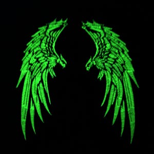 May include: A pair of glowing green angel wings with a detailed design. The wings are symmetrical and have a sharp, pointed shape.