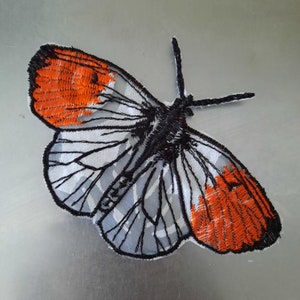 Butterfly Anthocharis Cardamines Inseсt embroidered patch