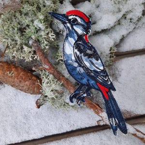 Könnte beinhalten: Ein gestickter Aufnäher eines blau-schwarzen Spechts mit roter Haube. Der Aufnäher befindet sich auf einem schneebedeckten Hintergrund mit einem Ast.