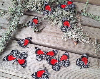 Schmetterling 88 Applikation, Motte Patch Tropischer Wald, gestickt, zum aufnähen