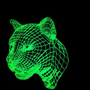 Puede incluir: Un modelo de alambre verde de la cabeza de un gato, renderizado sobre un fondo negro.