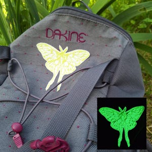 May include: A gray Dakine backpack featuring a yellow moth graphic on the front. The backpack has a geometric pattern, a bungee cord system, and purple accents. An inset shows the same moth graphic glowing in a bright neon green color.