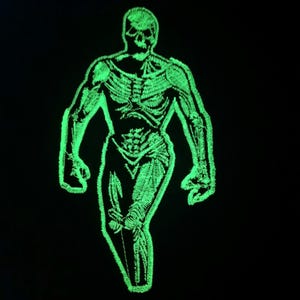 May include: A green glow-in-the-dark embroidered patch of a skeletal figure with a skull head.