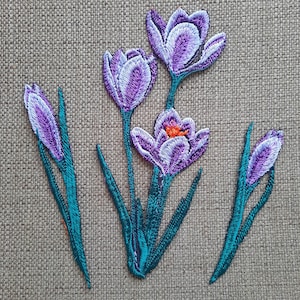 Könnte beinhalten: Lila und weiße gestickte Krokusblüten mit blaugrünen Stielen und Blättern. Die Blüten befinden sich in verschiedenen Blühstadien, einige sind vollständig geöffnet, andere noch in der Knospe.