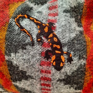Pu&ograve; includere: Una toppa ricamata di salamandra nera e arancione su un tessuto a motivi grigi e rossi.