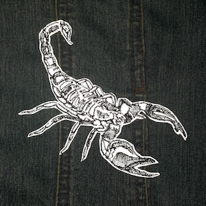 Opstrijkbare reflecterende geborduurde schorpioen patch, realistisch insect