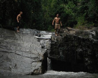 Le saut