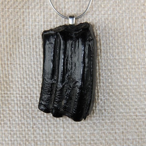 Fossilized Horse (Equus)Tooth Pendant (250808I)
