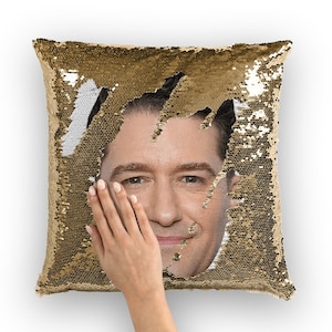 Matthew Morrison Sequin Pillow | Celebrity Pillow Cushions | Cool Pillow Case | Funny Gift Idea for Dan in Real Life Movie Fans