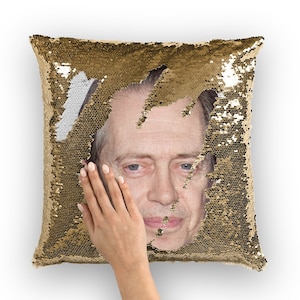 Steve Buscemi Sequin Pillow | Celebrity Pillow Cushions | Cool Pillow Case | Funny Gift Idea for Trees Lounge Movie Fans