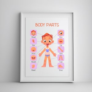 Body Parts, Teaching Resource, Body Parts Poster, Homeschool Learning, Printable Wall Art, Wall Decor for Kids, Educational Poster