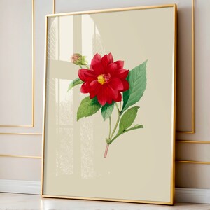 Flower Decor, Rose Flower Wall Art, Botanical Wall Art, Floral Decor Posters, Botanical Prints, Flower Decoration, Home Decor