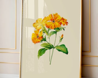Botanische Wanddekor, Blumenwandkunst, botanische Kunst, Vintage Blume, Blumen Boho Wandkunst Plakat, botanische Drucke, Blumendekor