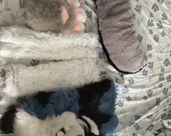 Dog Fursuit Furry Full Partial | HQ Head + Sleeves + Paws +Tail