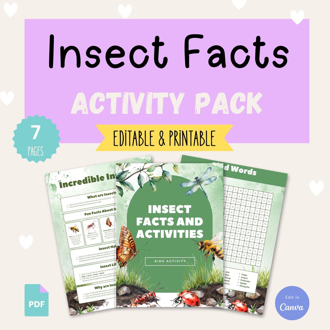 Insect Facts & Activities for Kids | Bug Worksheets Pack | Educational ...