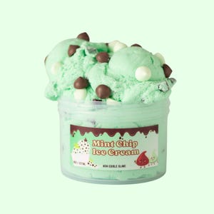 May include: A clear plastic container of green slime with white and brown chocolate chips. The slime is shaped like a scoop of mint chip ice cream. The label on the container reads "Mint Chip Ice Cream Non-Edible Slime".