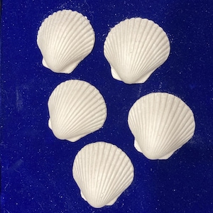 Shells Sea Scallop –set of 3 plaster - Handmade Coastal Decor – White Shell Accents for Crafts, Nautical Themes, Beach Wedding Favors